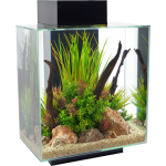 Fluval Edge fish tank(46 Litres)