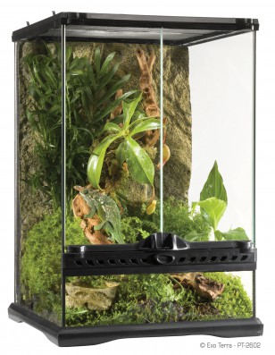 PT2602_Natural_Terrarium_Filled