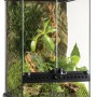 PT2602_Natural_Terrarium_Filled