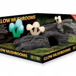 glow-mushrooms-product