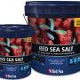 Red-Sea-Salt